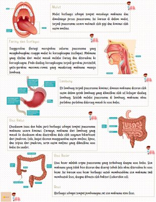 the anatomy of an animal's mouth and its organs info sheet, with instructions on how to use it