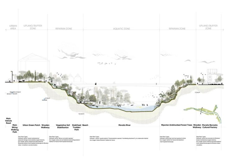 a diagram showing the various areas in which trees are growing