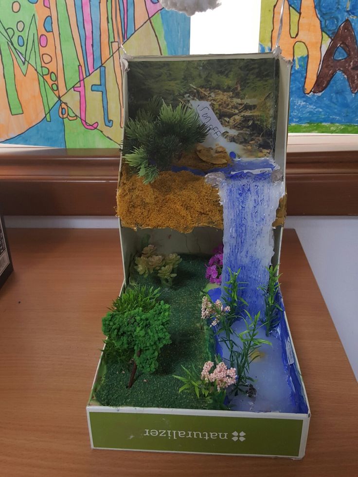 an open box with plants and water inside on a wooden table next to a window