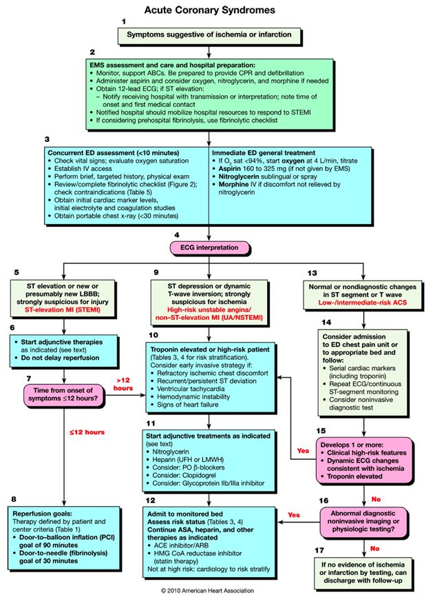 a flow diagram showing the steps in which people are able to perform an organ procedure