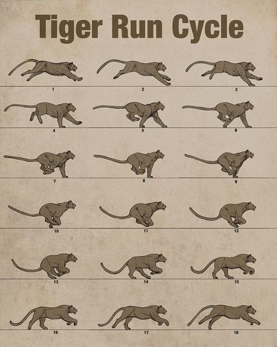 a poster showing how to run a tiger in different positions and numbers, with instructions for each step