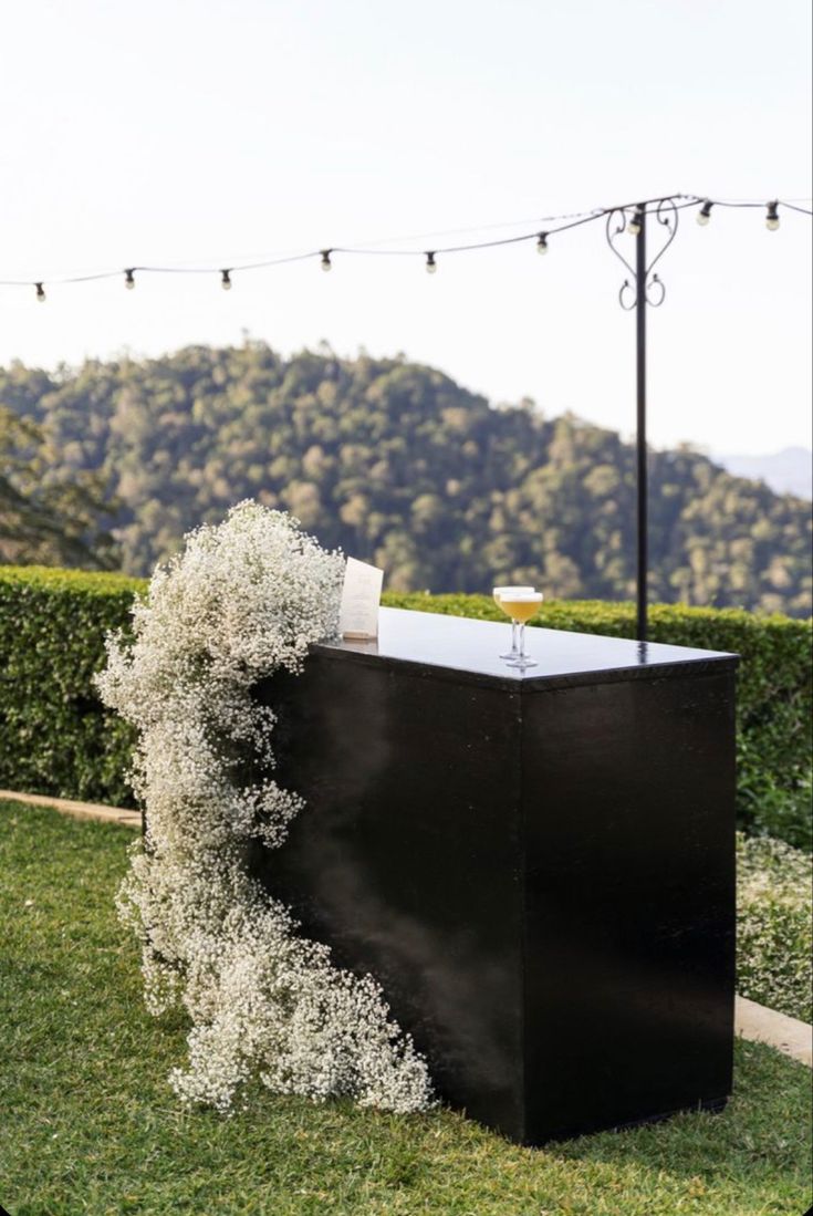 a black box with white flowers on it in the grass next to a string of lights