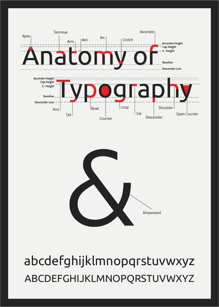 the anatomy of typography is shown in black and white with red letters