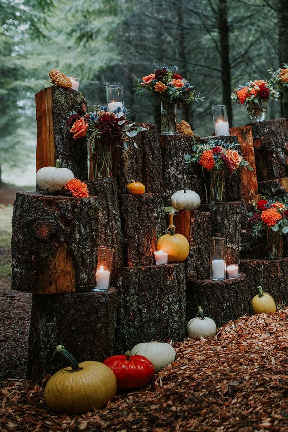 pumpkins and candles are arranged on logs in the woods for an autumn wedding ceremony