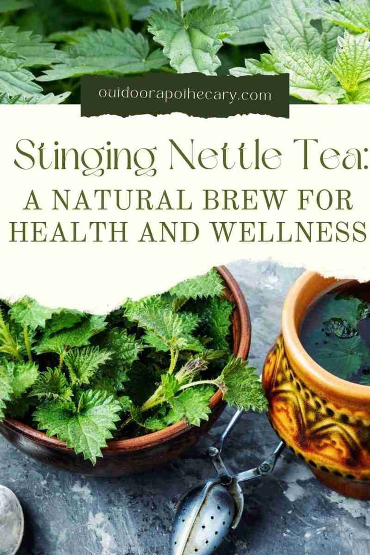 a potted plant next to a cup with liquid in it and the words, singing nettle tea a natural brew for health and wellness