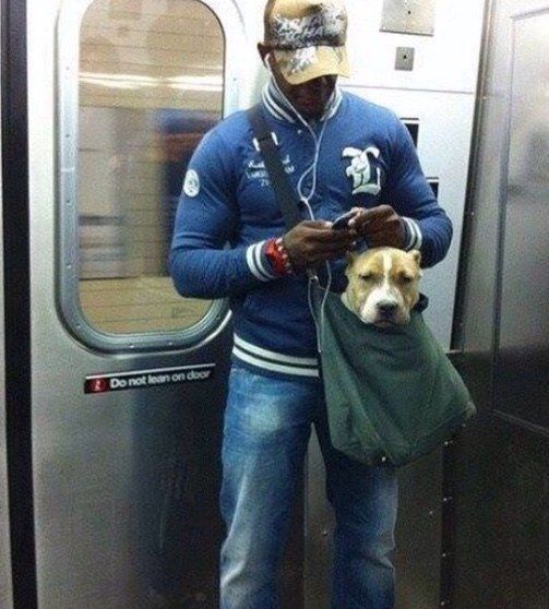 a man standing next to a subway train holding a dog in his lap and wearing headphones