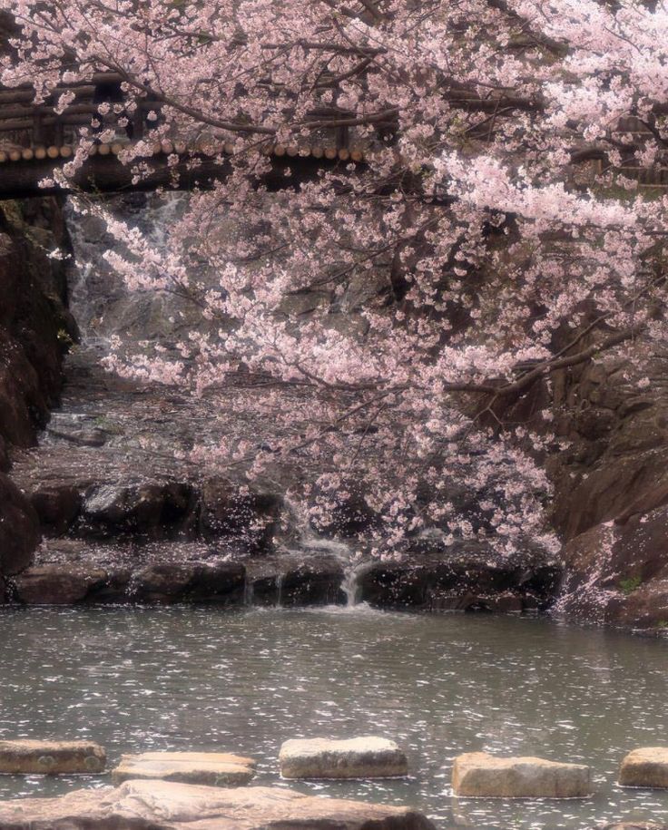 there is a small waterfall in the middle of some rocks and trees with pink flowers on them