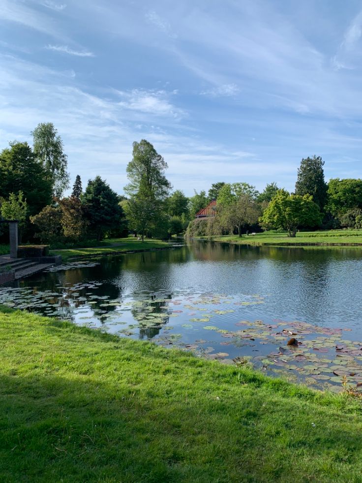 a pond with lily pads in the foreground and trees on the other side, surrounded by green grass