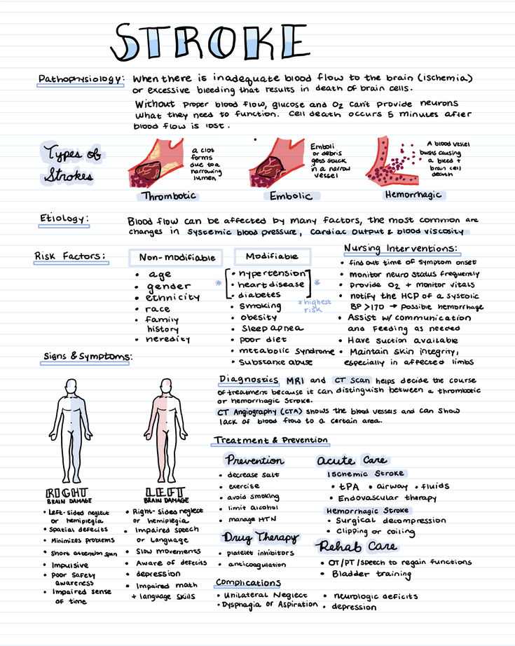 a hand drawn diagram shows the different types of human body and how they are used to describe