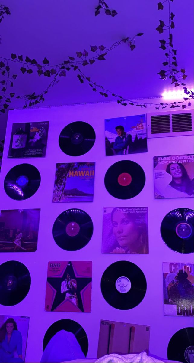 there are many records on the wall in this room with purple lighting and decorations above them