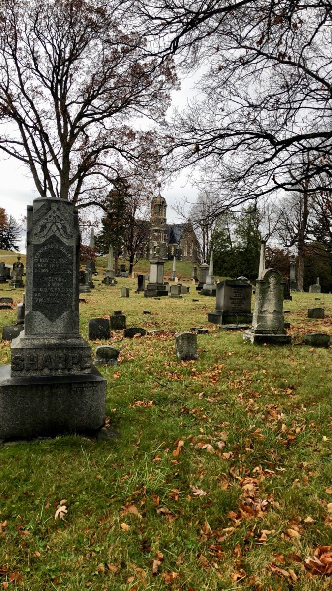 a cemetery with headstones and trees in the background