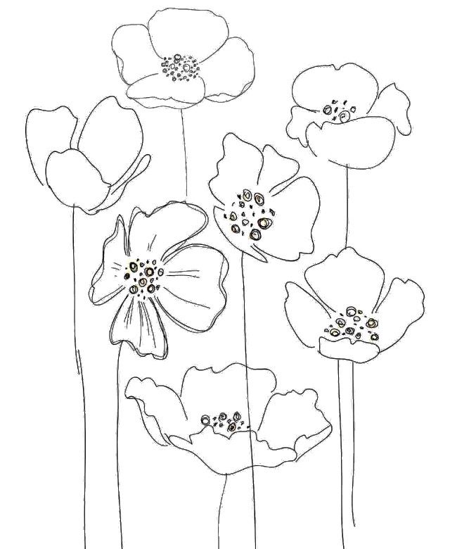 an image of flowers that are drawn in black and white