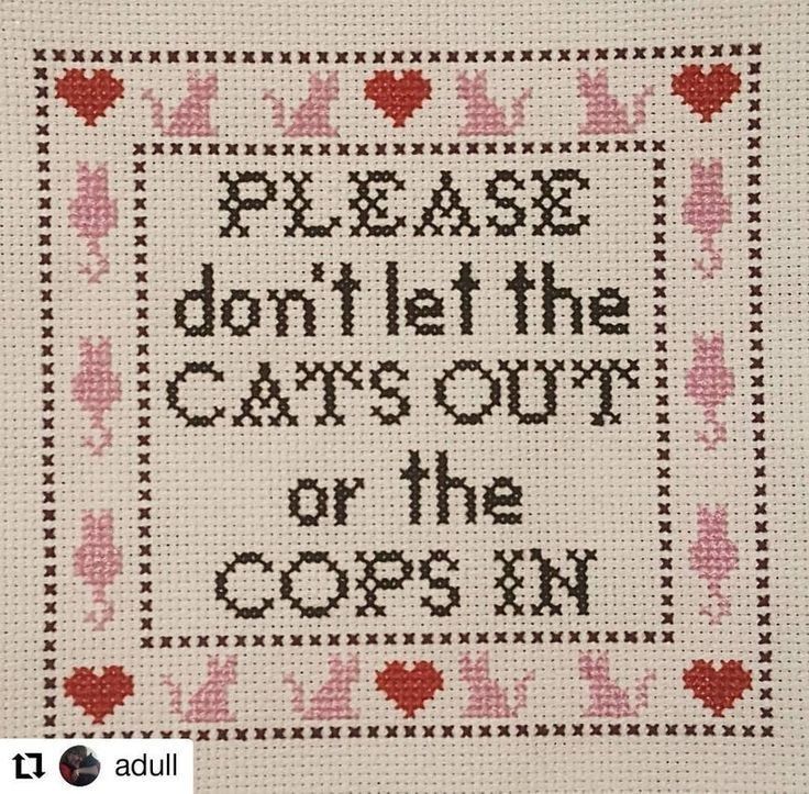 a cross stitch pattern with the words please don't let the cars out or the cops