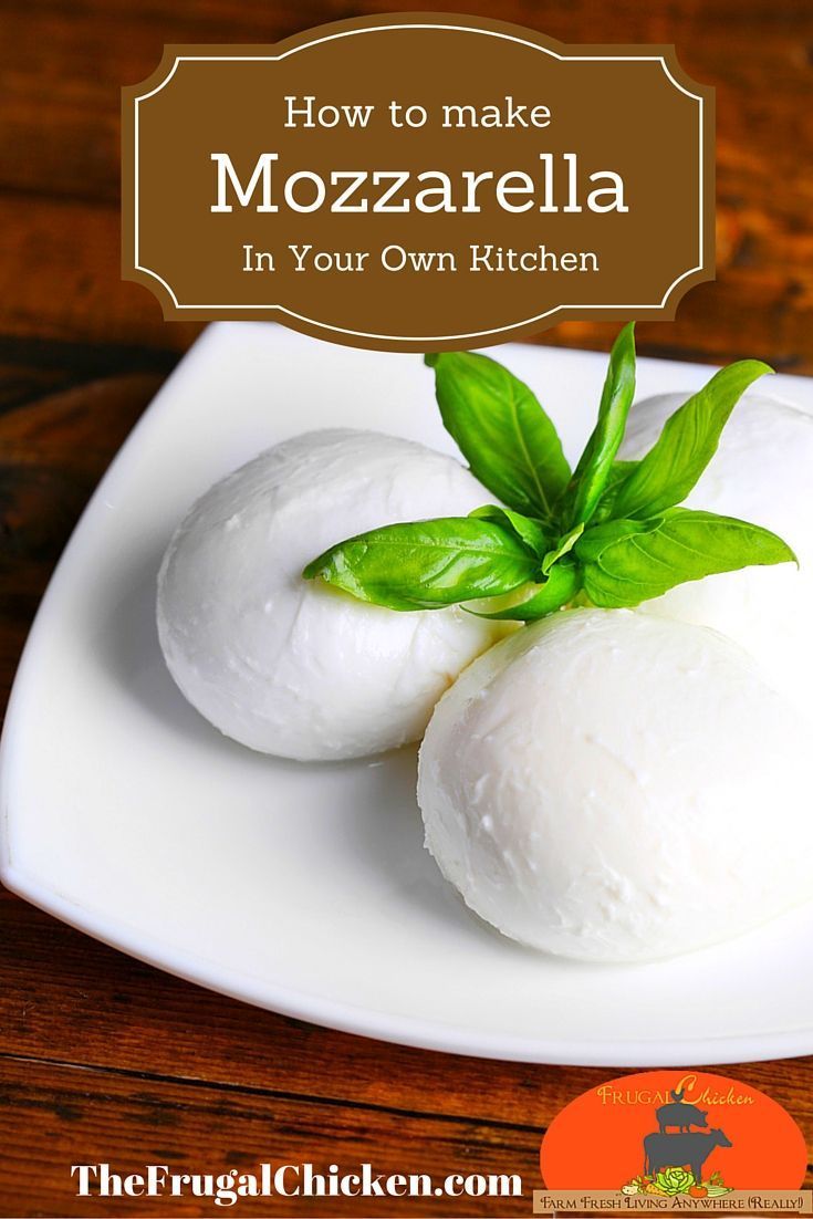 two mozzarella on a white plate with the title how to make mozzarella in your own kitchen