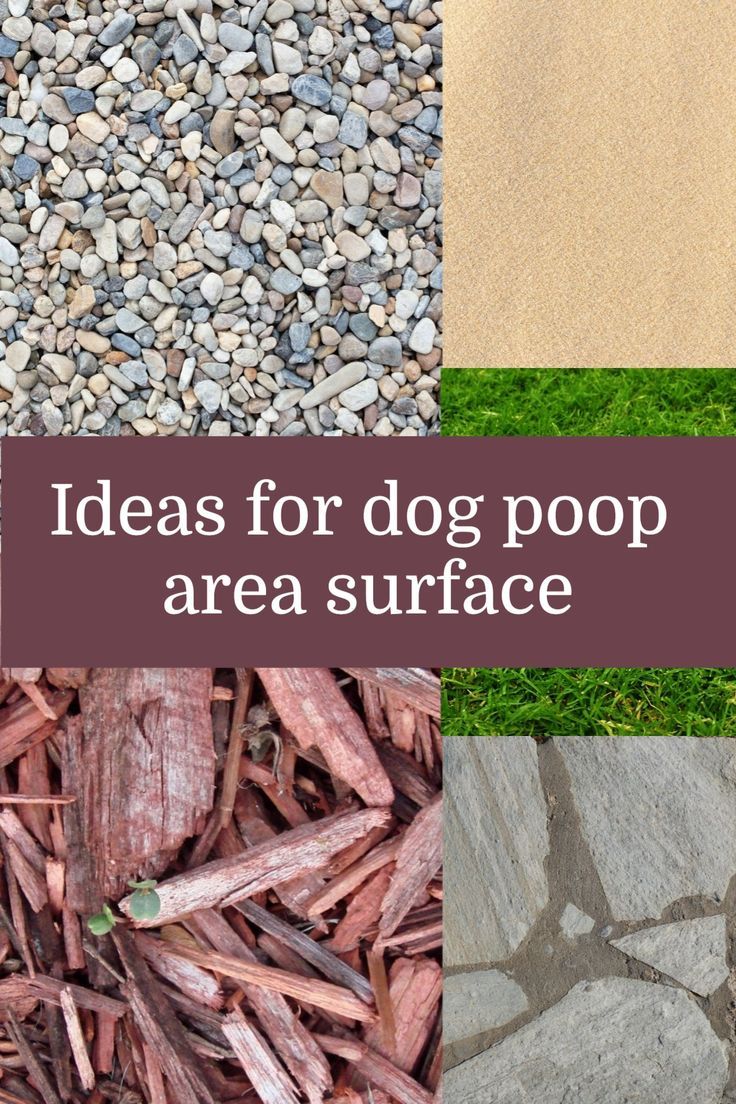 four different types of rocks and grass with the words ideas for dog poop area surface