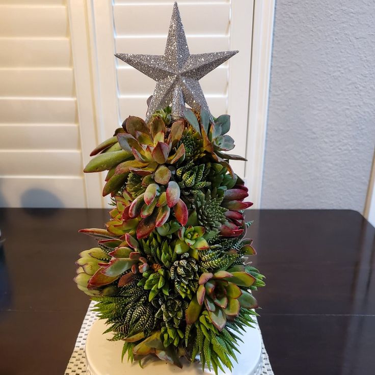 Our Large Succulent Trimmed Christmas Tree is a 9 inch sphagnum moss Christmas tree form planted with a wide array of beautiful succulents, topped with a 4 inch star (your choice of red, silver or gold), and set on a 4 inch pinewood base. All of our Succulent Trimmed Christmas Trees are handmade using moss filled metal frames and are planted with premium succulents grown in California. Each Succulent Trimmed Christmas Tree comes planted with over 50 total 2 inch succulents, making this $130.00 C Succulent Christmas Trees, How To Make A Succulent Christmas Tree, Moss Christmas Tree, Succulent Xmas Tree, Christmas Succulent Wreath, Moss Christmas, Succulant Christmas Wreath, Beautiful Succulents, Sphagnum Moss