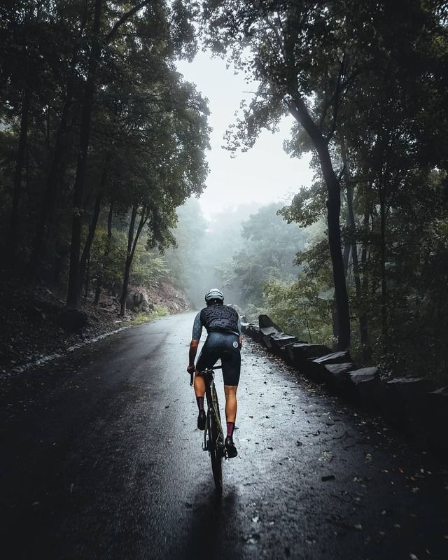 a bicyclist riding down a wet road in the rain with trees lining both sides