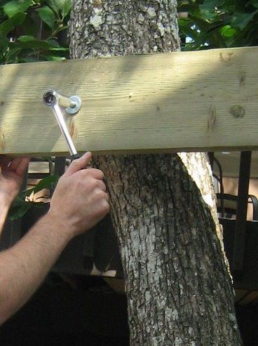 a man is holding a pair of pliers in front of a tree with measurements on it