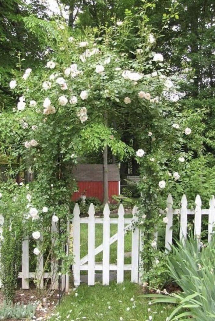 a white picket fence surrounded by flowers and greenery