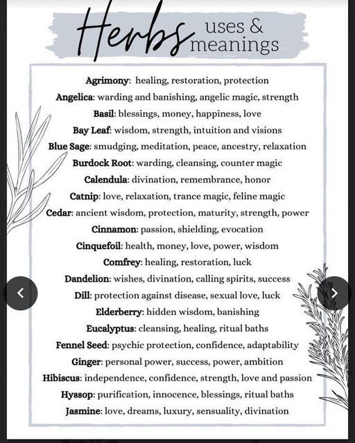 New Orleans Witch, Herbs List, Magickal Herbs, Witch Herbs, Green Witchcraft, Magia Das Ervas, Witch Spirituality, Magic Spell Book, Grimoire Book