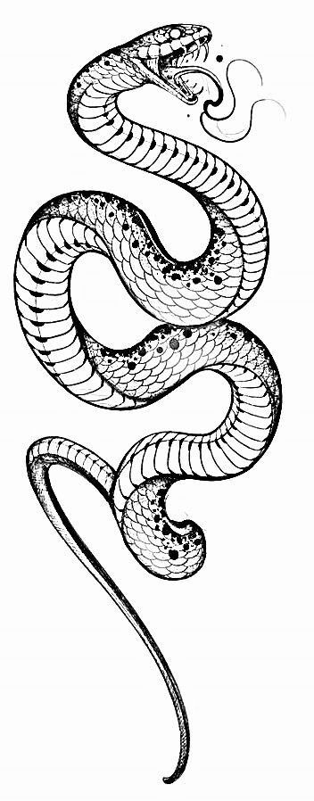 a black and white drawing of a snake