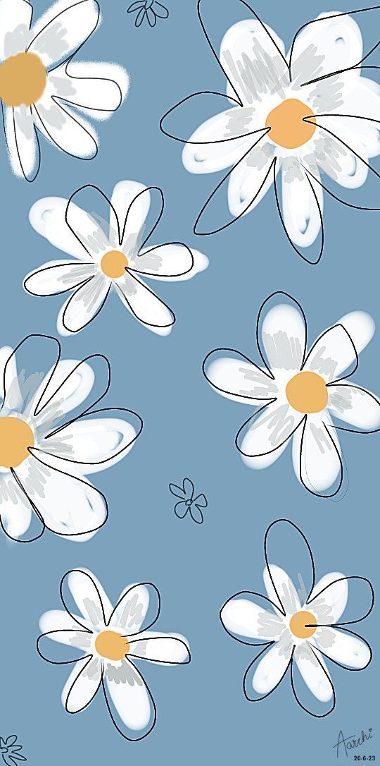 white flowers with yellow centers on a blue background