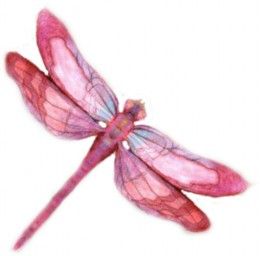 a drawing of a pink dragonfly on a white background