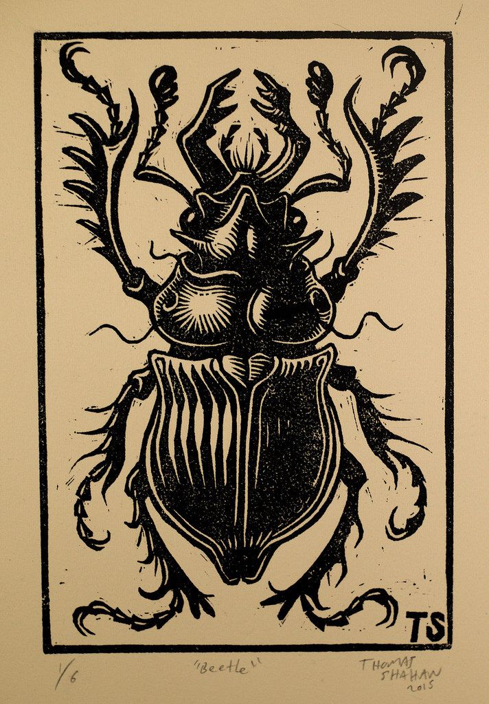 a black and white drawing of a bug