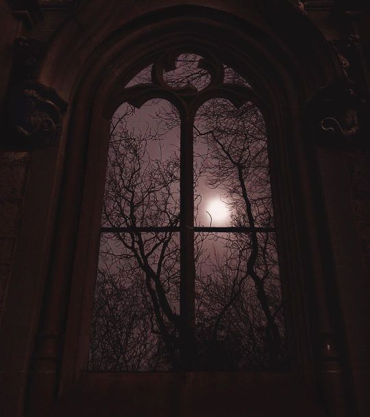 the moon is seen through a window in an old building with branches growing out of it