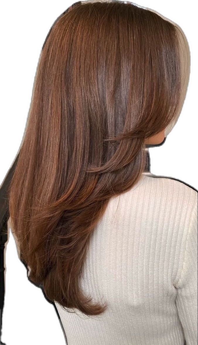 Rambut Brunette, Chestnut Hair, Chestnut Hair Color, Honey Brown Hair, Brown Hair Looks, Brown Hair Inspo, Hair Inspiration Long, Ginger Hair Color, Hairstyles For Layered Hair