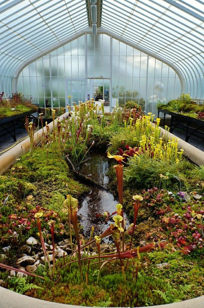 the inside of a greenhouse with lots of plants and flowers growing on it's sides