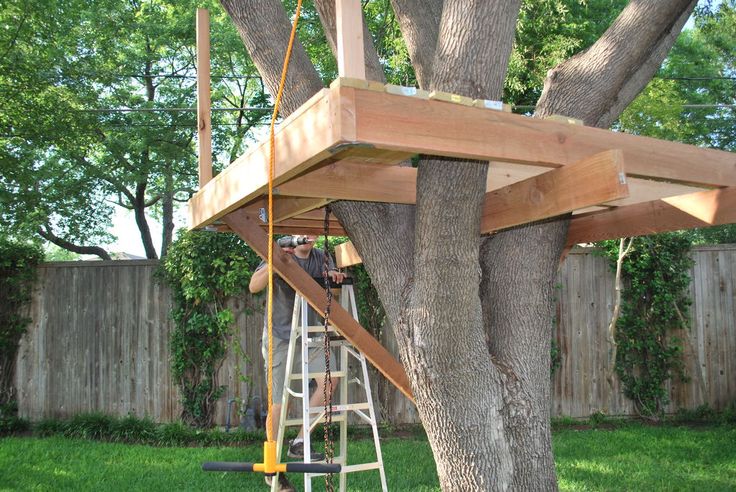 a man on a ladder up to a tree