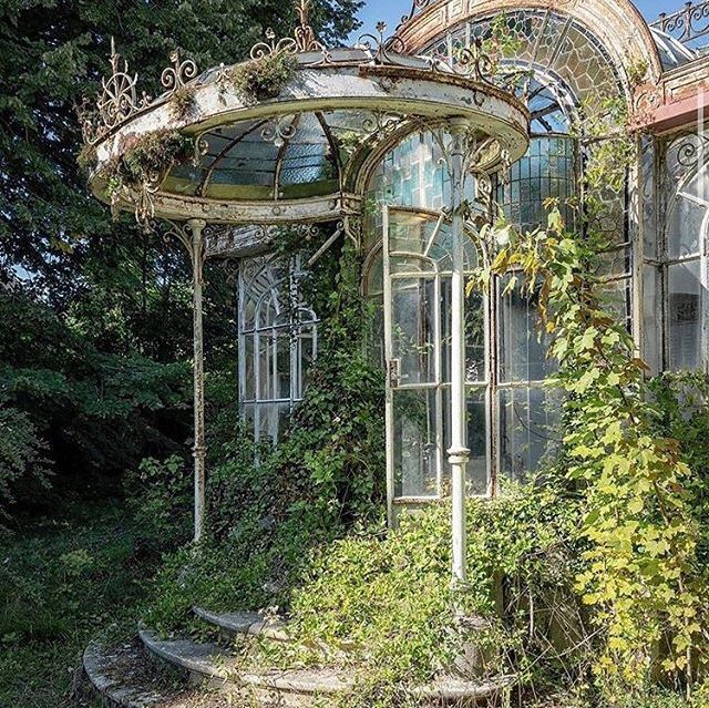 an old gazebo with vines growing on it and the caption says, i'm not sure what this is