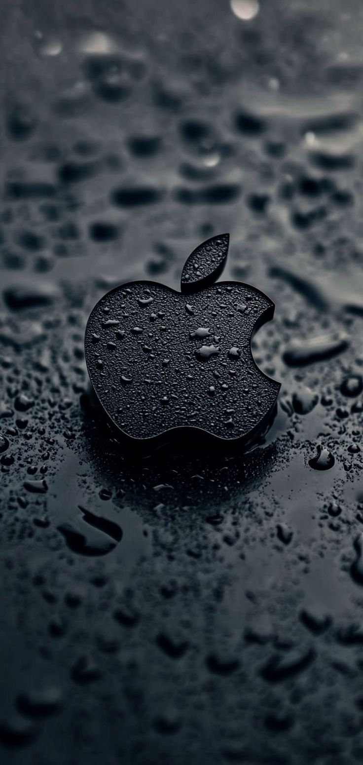 an apple logo is sitting on the wet surface