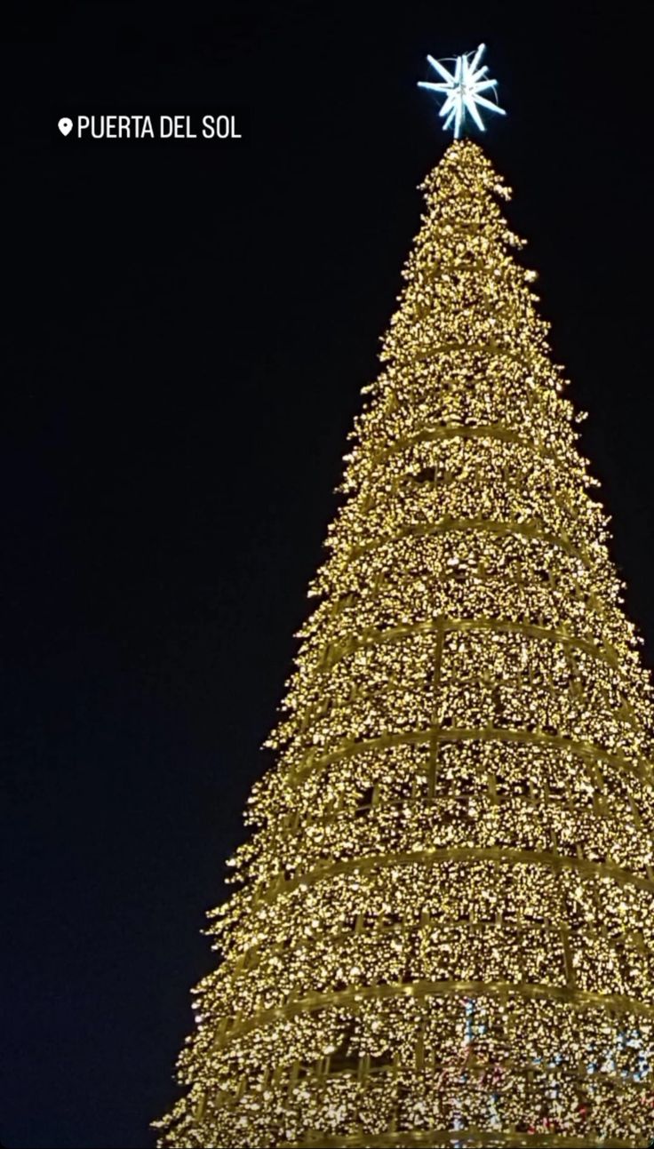 a large christmas tree is lit up in the night sky with snowflakes on top