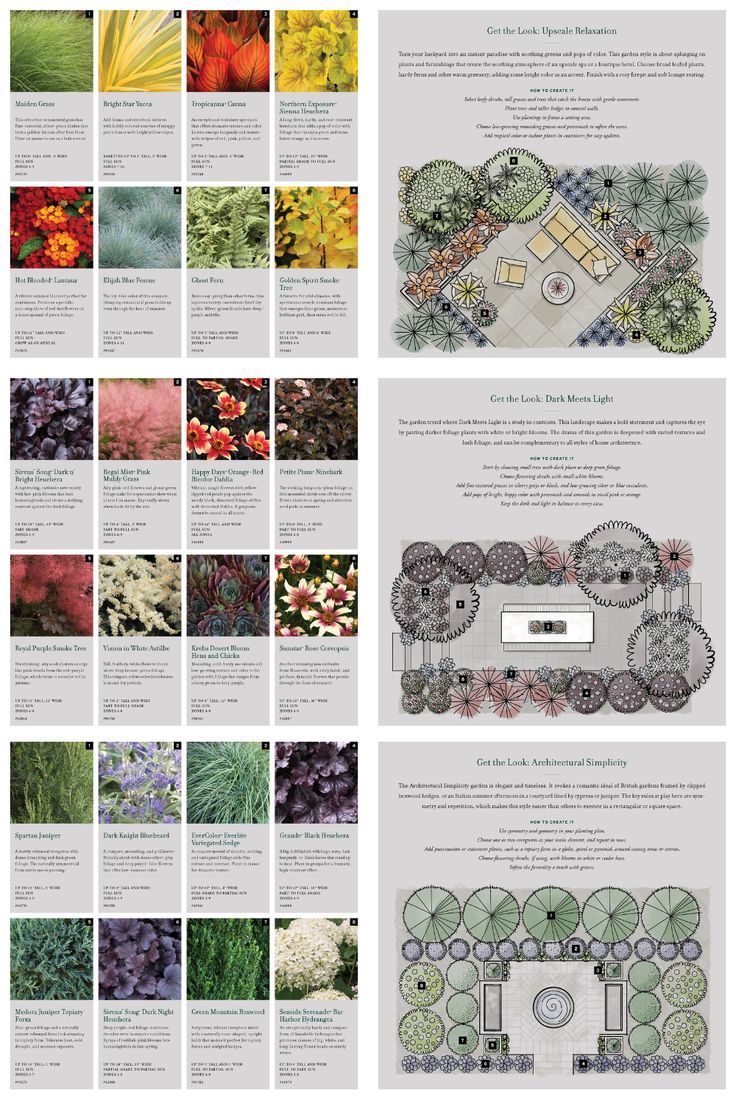 landscape design plans and colorful plant choices Planting Design Plan, Bridge Garden, Colorado Landscaping, Garden Design Layout Landscaping, Hillside Landscaping, Front Yard Garden Design, Planting Plan, Garden Design Layout, Garden Design Plans