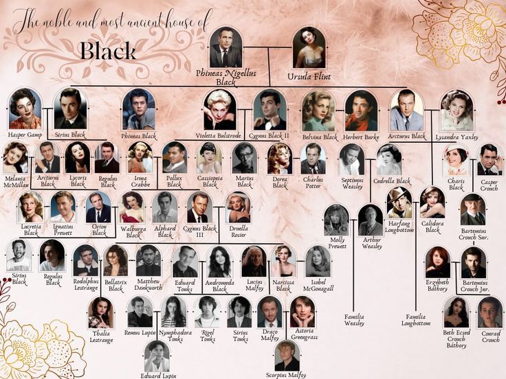 a family tree is shown with many different people and names in the same section,