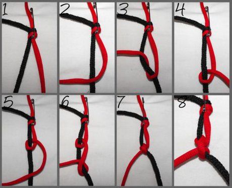 step by step instructions on how to tie a horse's bridle and harness