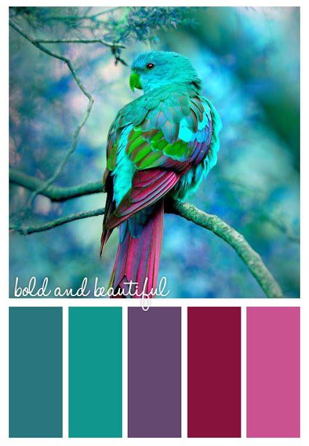 a bird sitting on top of a tree branch with color swatches in front of it