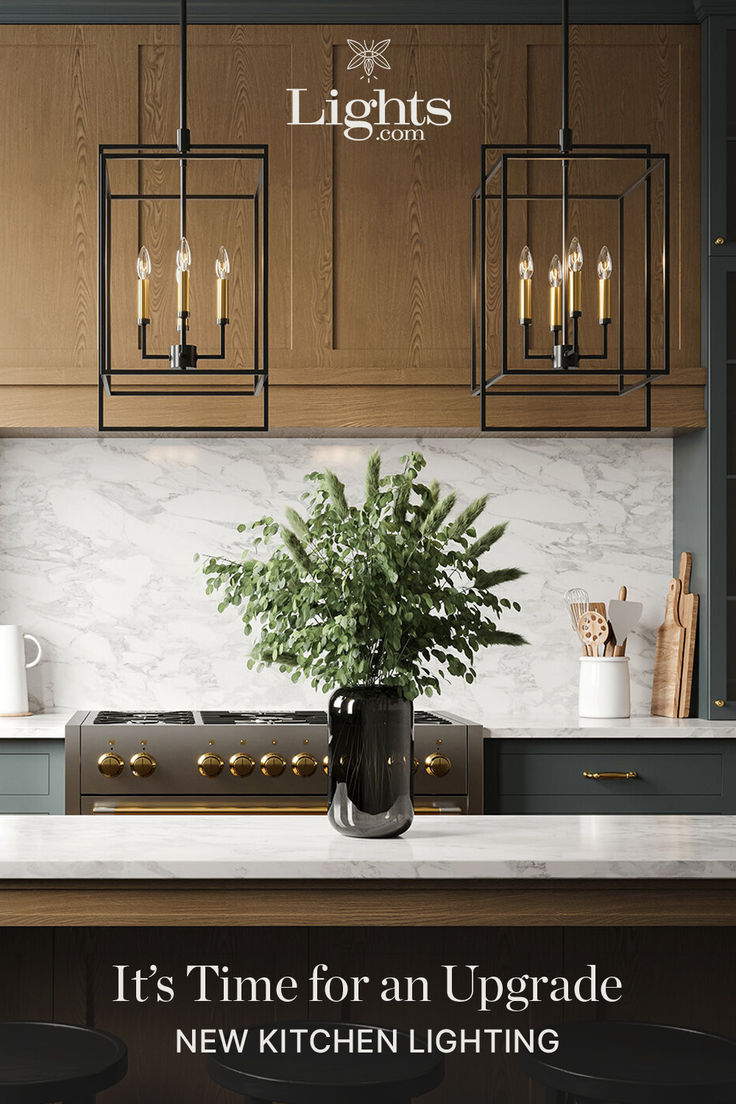 an image of a kitchen setting with lights on the wall and plants in the center