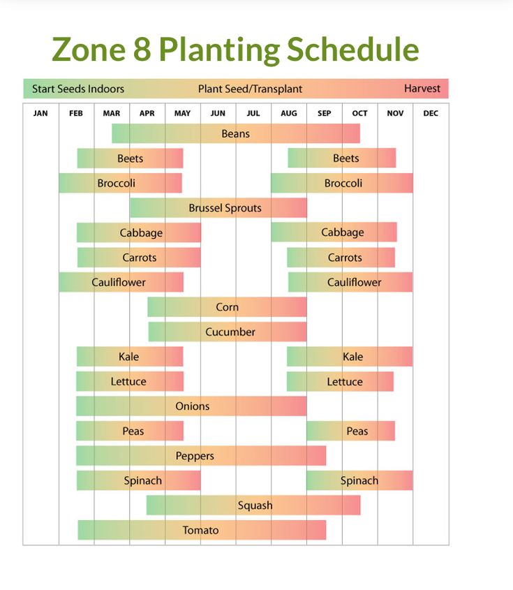 the zone 8 planing schedule is shown in this graphic above it's image