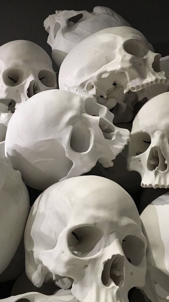 a pile of white skulls sitting next to each other