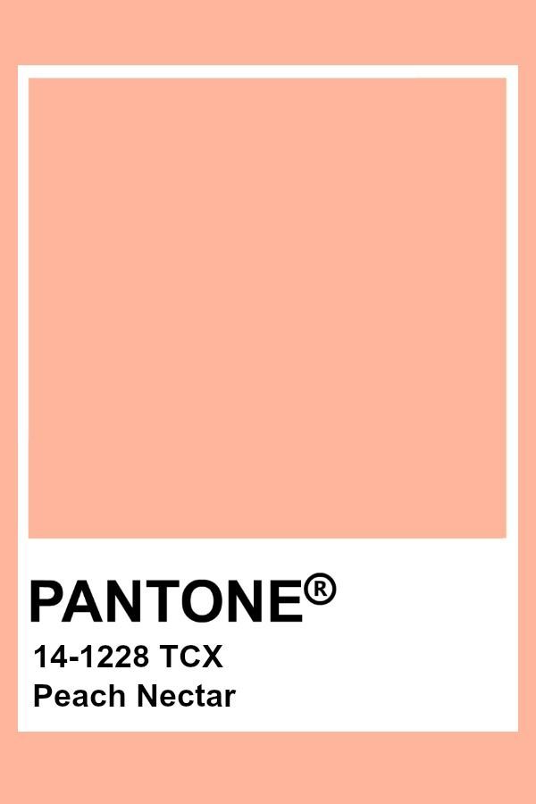 Peach Color Swatch, Peaches Aesthetic, Peach Pantone, Interior Design Material Board, Pantone Tcx, Pantone Color Chart, Pantone Swatches, Pantone Colours, Peach Nectar