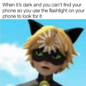 a cartoon character wearing a cat mask and looking at the camera with caption that reads, when it's dark and you can't find your phone so use the flashlight on your phone to look for it