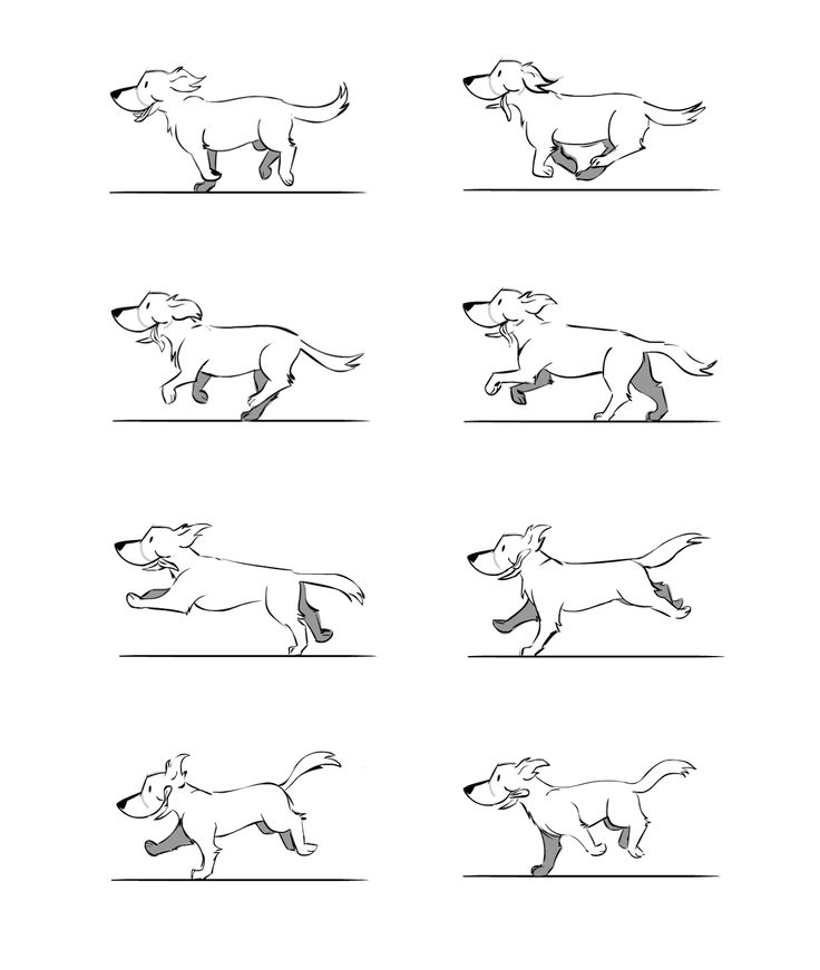 the dog is running and jumping in different positions, including one with his head down