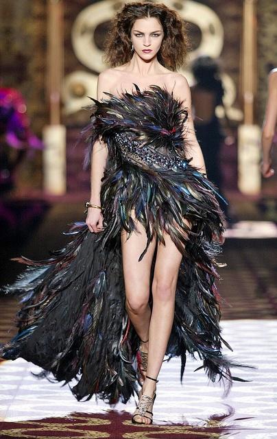 Roberto Cavalli Cavalli Dresses, Fashion Character, Feather Gown, Roberto Cavalli Dress, Cavalli Dress, Feather Fashion, Chanel Resort, Julien Macdonald, Armani Prive