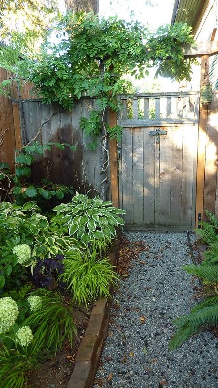 a wooden gate surrounded by plants and gravel