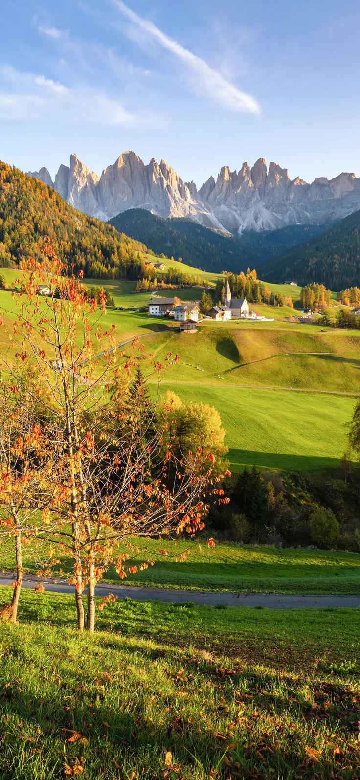 the mountains are covered in autumn foliage and trees with red leaves on them, as well as green grass