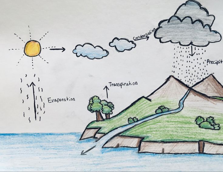 a drawing of an island with water, trees and sun in the sky above it