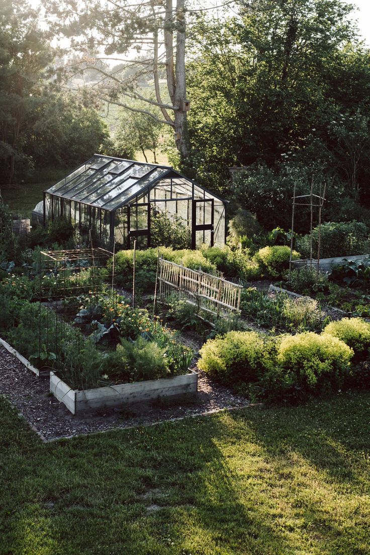 a garden with lots of plants growing in it and a small greenhouse on the other side